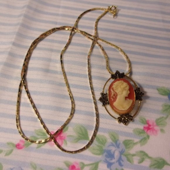 "Resin Cameo Pin/Pendant With 30"" Long Chain " - Picture 1 of 5